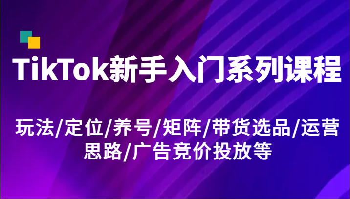  TikTok新手入门系列课程，玩法/定位/养号/矩阵/带货选品/运营思路/广告竞价投放等